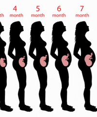 ���ˣ����к�ᷢ����Щ�仯��ԭ��ÿһλ���趼Ҫ������ô��