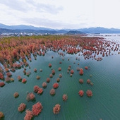 ������Ϣ