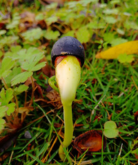 [������]��ǿ������