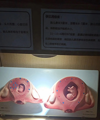 �����ĳɳ�������Ĵ��ڣ�һ�����һ������������ѽ��