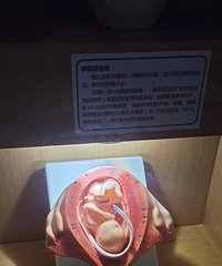 �����ĳɳ�������Ĵ��ڣ�һ�����һ������������ѽ��