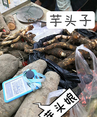 ����ͷ�����Ƿ�߸��������������������