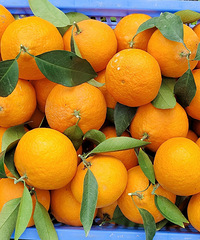 ���ۺ����˽��� ����