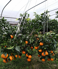 ���ۺ����˽��� ����