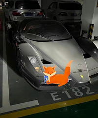 ���������ġ���ɫ�ķ�����enzo��̫˧�˰ɣ�