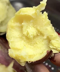 һ�붬�ͷ�����������Ŵ����������