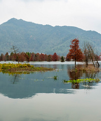 ��̶�ψ������ִ�ɹͼ