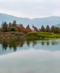 ��̶�ψ������ִ�ɹͼ