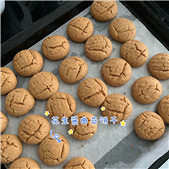 �����������������