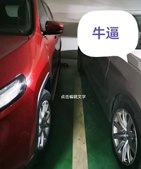 [����]����С�����ⱦ��Ů˾����ÿ��ͣ�������������