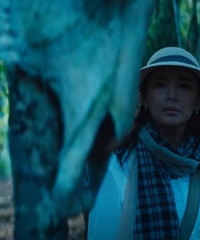 �������˾���������