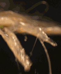 [����̨��1Сʱ��]�㽭����Ի����ĸ�������