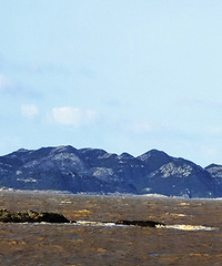 ͷ�Ÿ۰�����