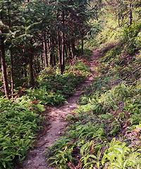 ��̫��ͽ��