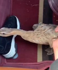 ��·�ϼ��Ѽ