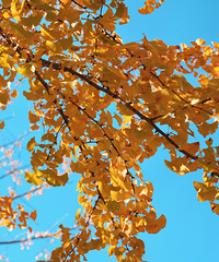 ����������ů������¼�붬����������ʱ��