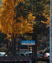 ����������ů������¼�붬����������ʱ��