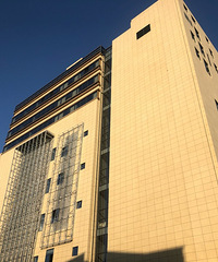 ����̳�����ǰ���𣿺ų������̩�ǵĽ�̩��