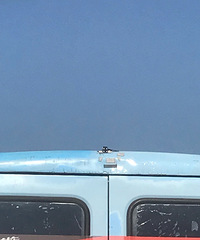 ���������ġ�����㲻�����ۣ�