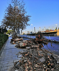 [������]�����Ͷ�·�ö෨����ͩ���⵹��ʲô�����