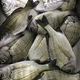 ���ǵ����ǳԻ�����