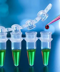 �㽭������������3���¹ں�������