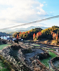 �������ռ�No.59���׿��������ţ�Ѱ����Ƭ������