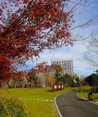 [������]�˷���԰�������