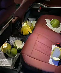 [����]�������˳���������Ȧ��Nɪ�����ͼ�ʮ��ĳ���