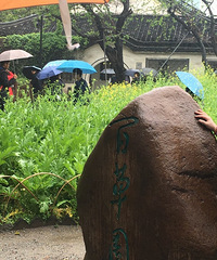 �������ռ�NO.59��+���ˣ��߲���ʱ�⣬ȴ��������