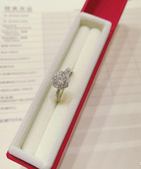 [����֮��]2021����ɱ���¼��һ��֧���ϼ�286900Ԫ