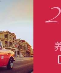 �����������ɹ2021���������˵�