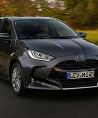����YARiS�춯���꣬ȫ�����Դ�2�춯���ͼ����