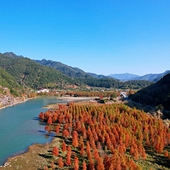 С֥������