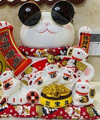 ��ͬ����в�è����