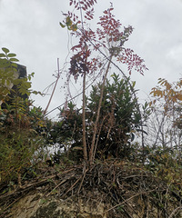 �������ˣ�Ϊʲô���Ҳ������׳����Ķ���