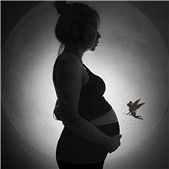 �����и�д��