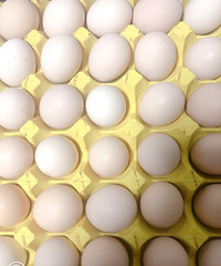 ���Ի���̨��no59��޶��ë޶��75������