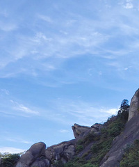 [����]����ͽ�������������ˮţ���������඼�������ͱ�