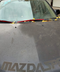 ���������ġ����ɫ����������ټ�