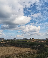 ��ĩ�����̨�ݵ����������������Ĳ���