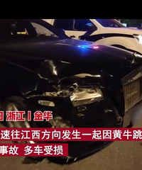 ��ţ�����������¹ʶ೵��������һ����˹��˹��ʧ��30��Ԫ