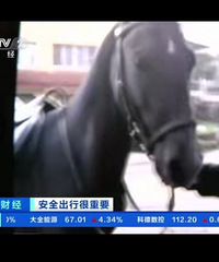 �����־��ˣ�����һ�����ﺹѪ�����Ϲ�·