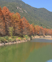 ëɽ��Ϫ�ĺ�ɼ��