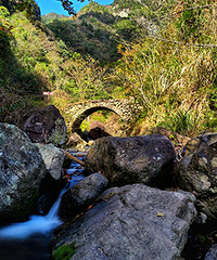 �ɾ�-����ŵ�