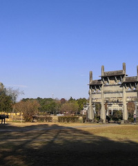 ���������Ʒ�Ⱥ��һ��˵�߾��ߵ�����