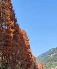 �ٺ�ͩ�ӡ���ᮡ�ëɽ��С֥�����ִ���