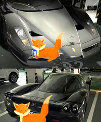 ��ɫ�ķ�����enzo��̫˧�˰ɣ�