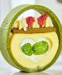 ��֦��¶���������͵Ĺؼ���Ȼ����