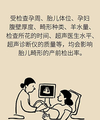 �����ڵġ����Ż���������Щɶ��